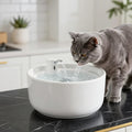 Fuente de Agua Inteligente para Gatos